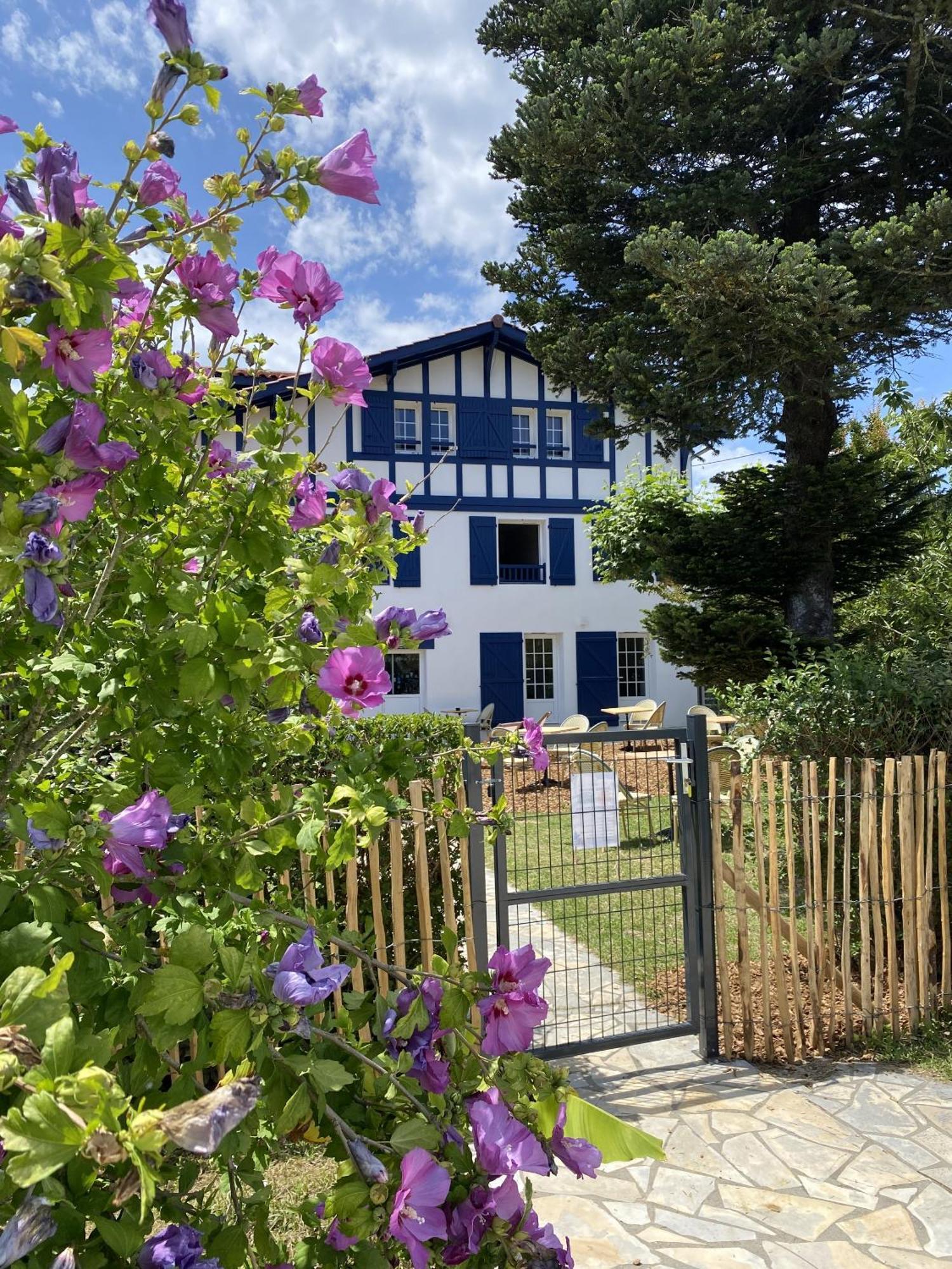 Kaliko Hotel Bidart Værelse billede